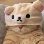 Evelyn Castillo Avatar