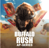 Buffalo Rush screenshot